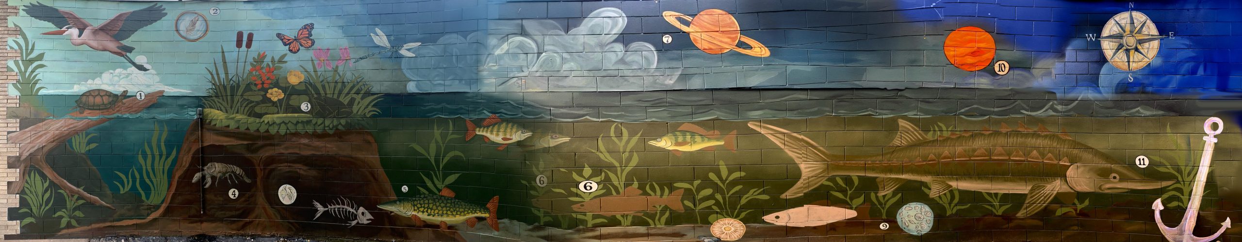 Fresh Water Estuary Mural